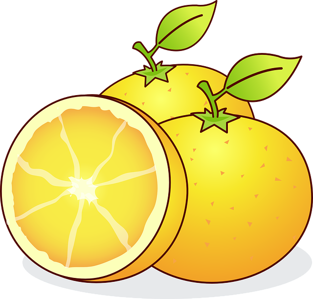 Cartoon Oranges Illustration PNG Image