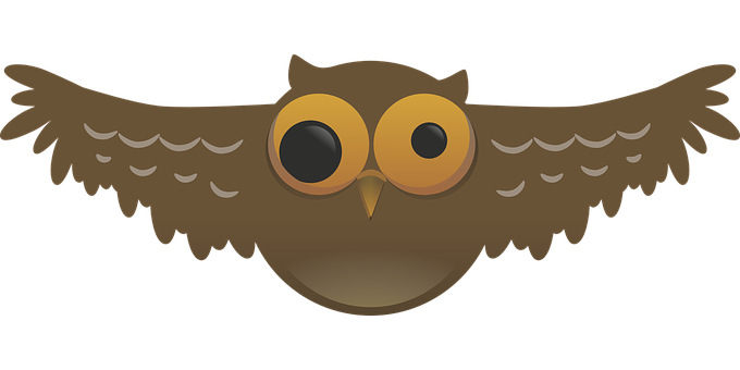 Cartoon Owl Graphic PNG Image