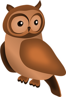 Cartoon Owl Illustration PNG Image