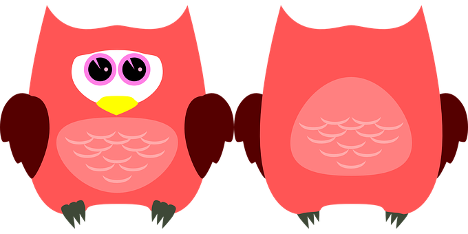 Cartoon Owl Twin Image PNG Image