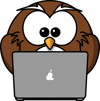 Cartoon Owl Using Laptop PNG Image