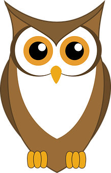 Cartoon_ Owl_ Vector_ Illustration PNG Image