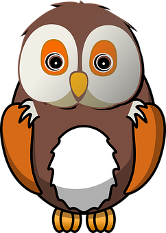 Cartoon_ Owl_ Vector_ Illustration PNG Image