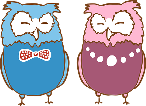 Cartoon Owlsin Bowties PNG Image