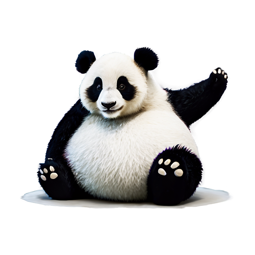 Cartoon Panda Clipart Png 05062024 PNG Image