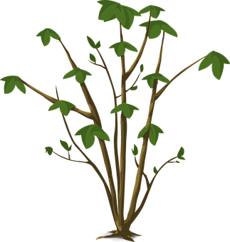 Cartoon Plant Illustration PNG Image