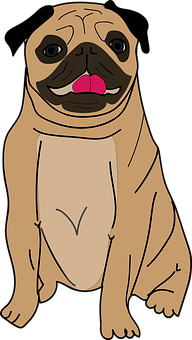 Cartoon Pug Dog Illustration PNG Image