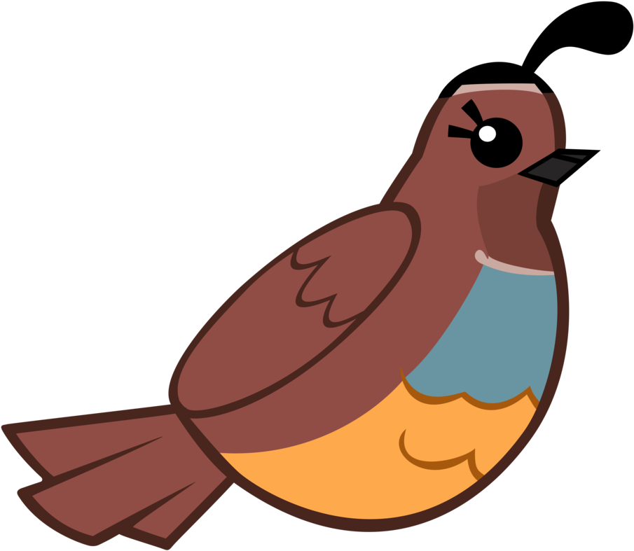 Cartoon Quail Illustration.png PNG Image