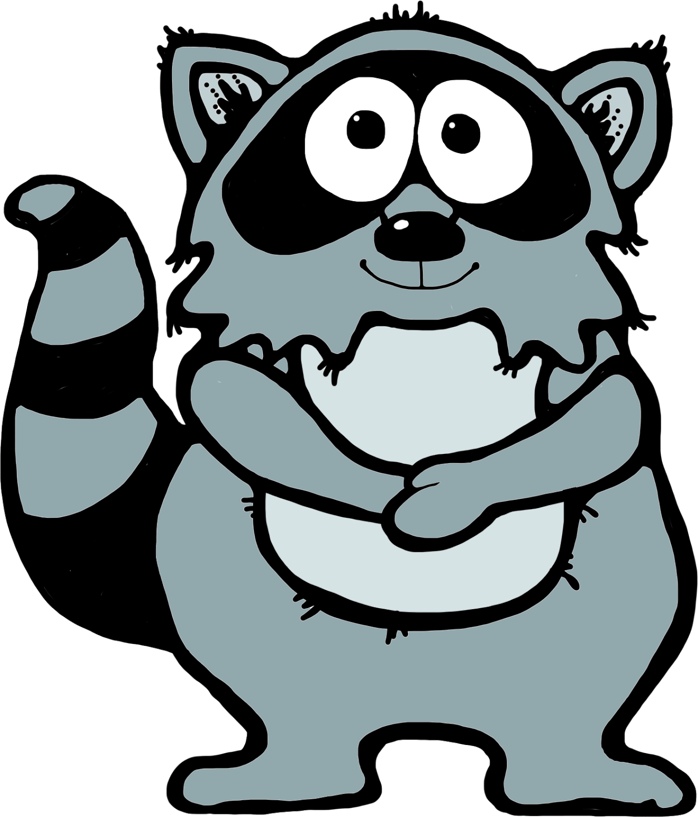 Cartoon Raccoon Illustration PNG Image