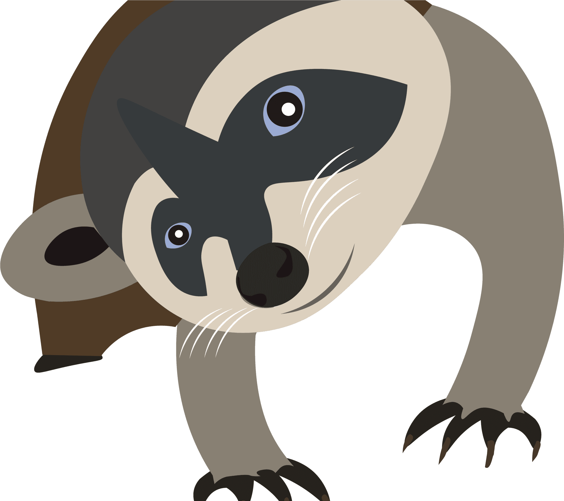 Cartoon Raccoon Illustration PNG Image