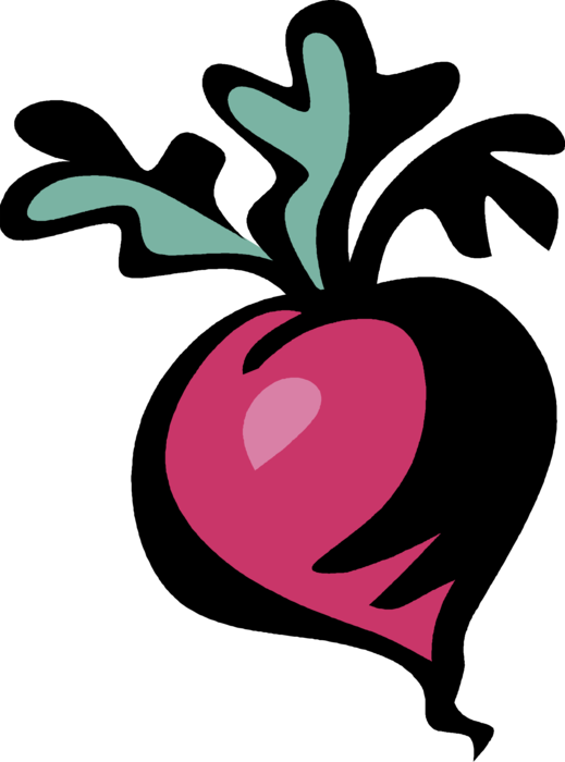 Cartoon Radish Illustration PNG Image