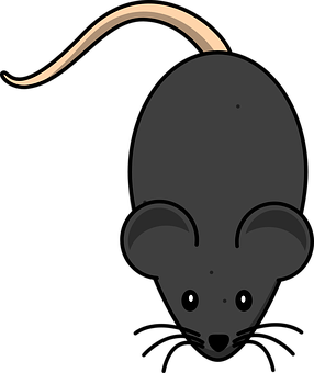 Cartoon Rat Top View Illustration PNG Image