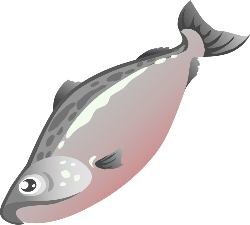 Cartoon Salmon Illustration PNG Image