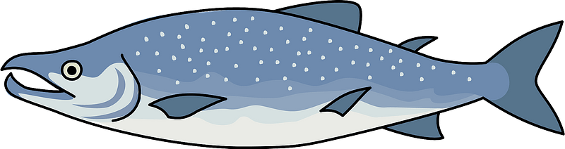 Cartoon Salmon Illustration PNG Image