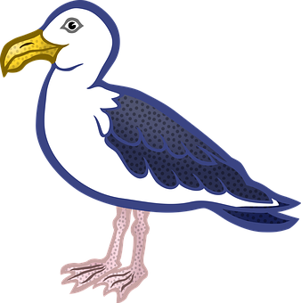 Cartoon Seagull Illustration PNG Image