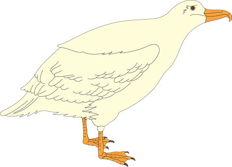 Cartoon Seagull Standing PNG Image