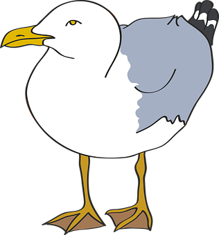 Cartoon Seagull Standing Vector PNG Image