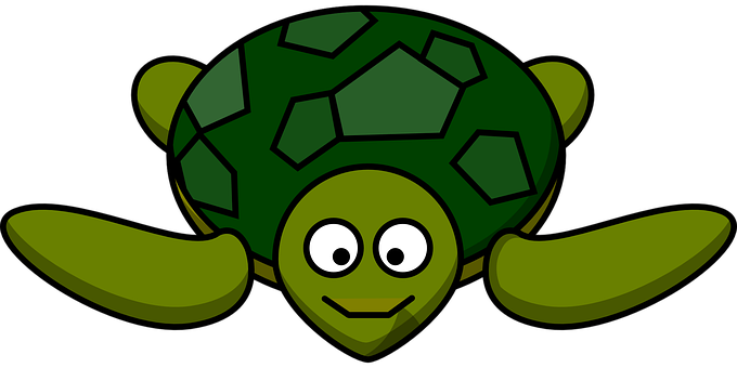 Cartoon Smiling Turtle Graphic PNG Image