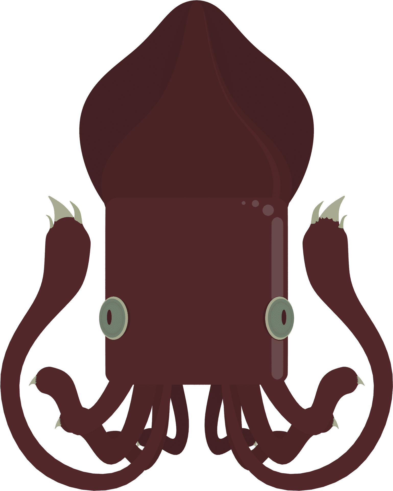 Cartoon Squid Illustration PNG Image