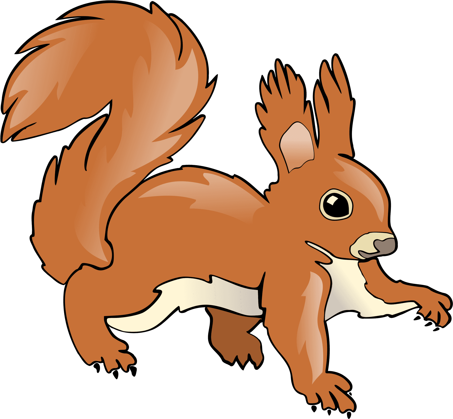 Cartoon_ Squirrel_ Illustration.png PNG Image