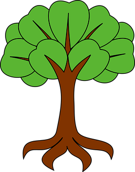 Cartoon Style Simple Tree Illustration PNG Image