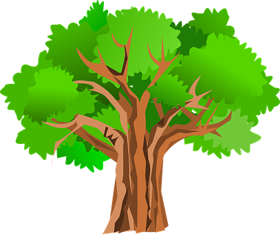 Cartoon Style Vibrant Tree PNG Image