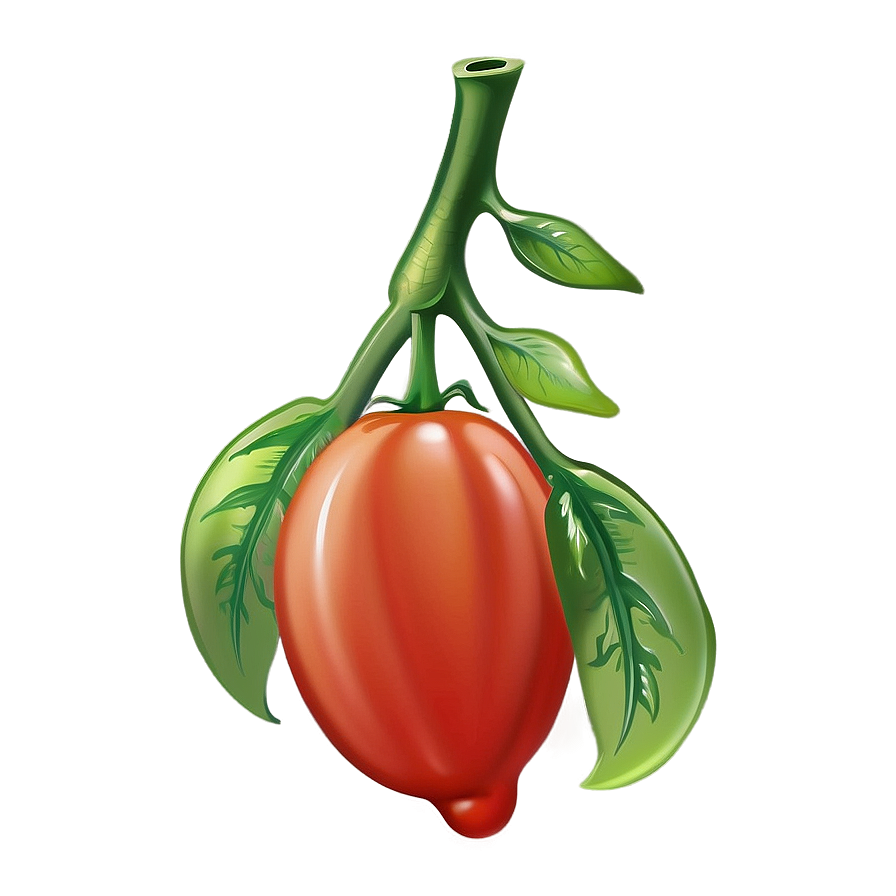 Cartoon Tomato Png 34 PNG Image