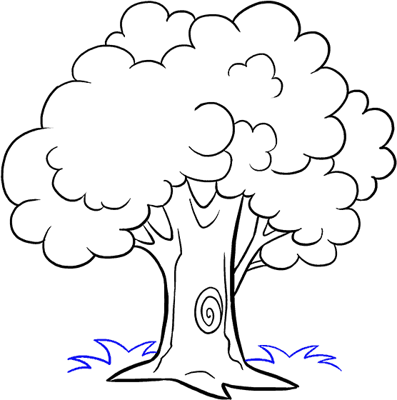 Cartoon Tree Line Drawing PNG Image