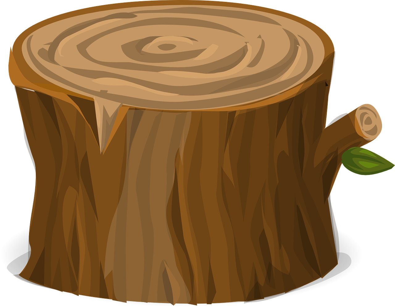 Cartoon Tree Stumpwith One Green Leaf PNG Image