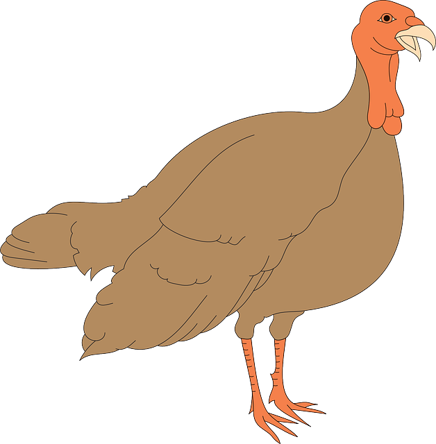 Cartoon Turkey Illustration PNG Image