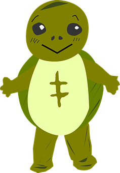 Cartoon Turtle Character PNG Image