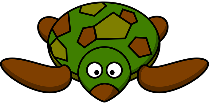 Cartoon Turtle Graphic PNG Image