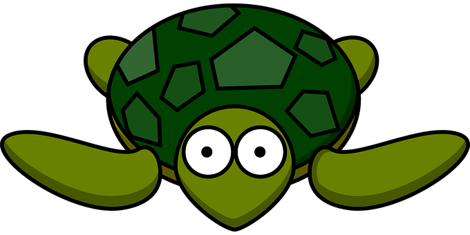 Cartoon Turtle Graphic PNG Image