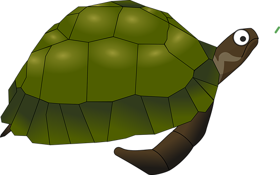 Cartoon Turtle Illustration PNG Image