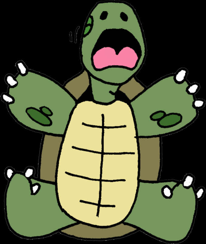 Cartoon Turtle Shocked Expression PNG Image