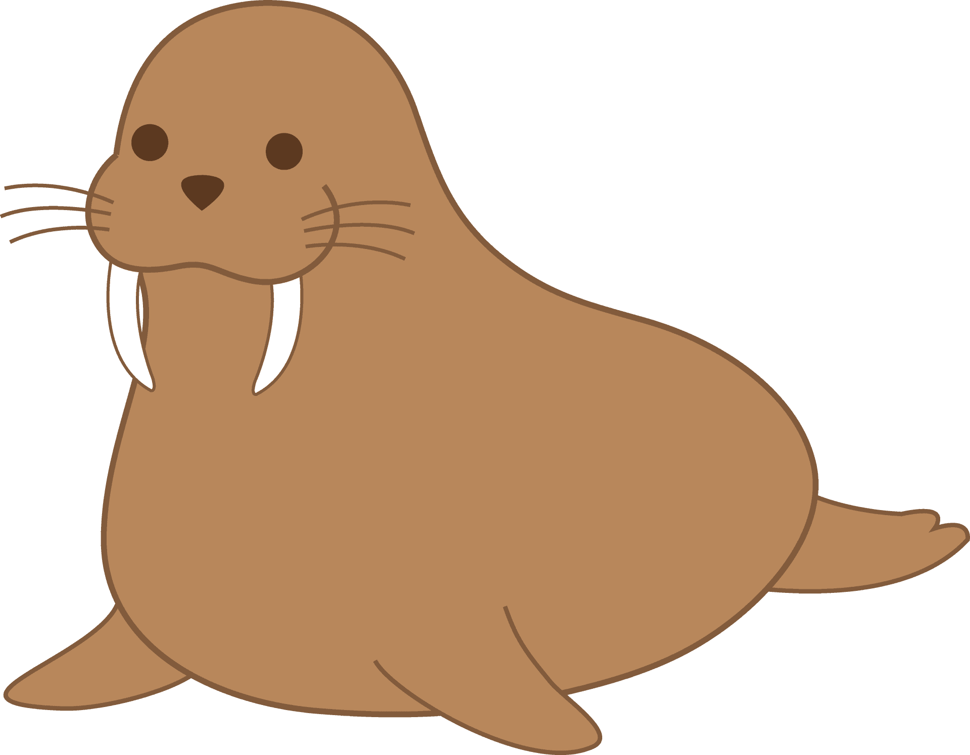 Cartoon Walrus Illustration PNG Image