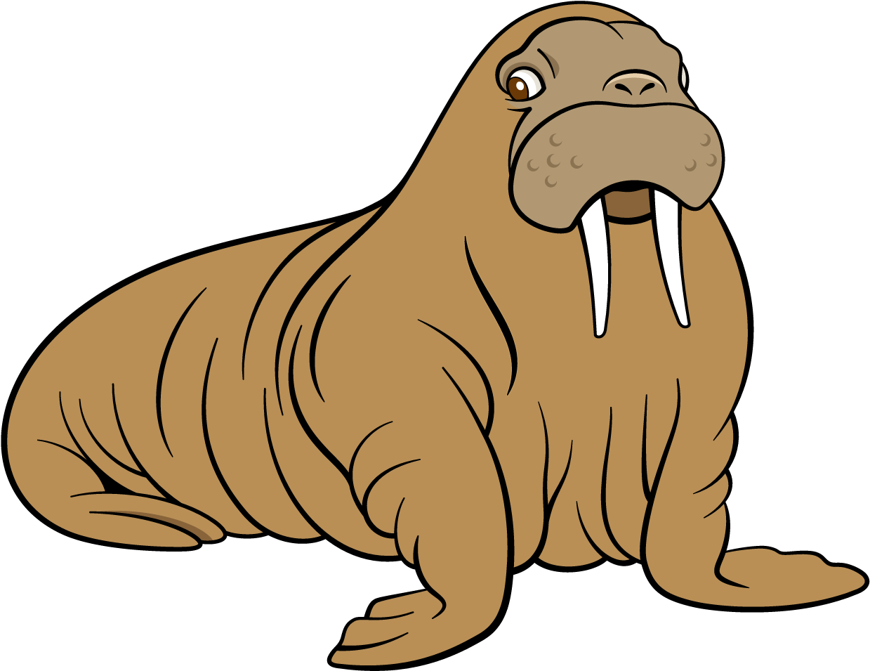 Cartoon Walrus Illustration PNG Image