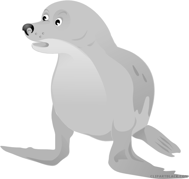 Cartoon Walrus Illustration PNG Image