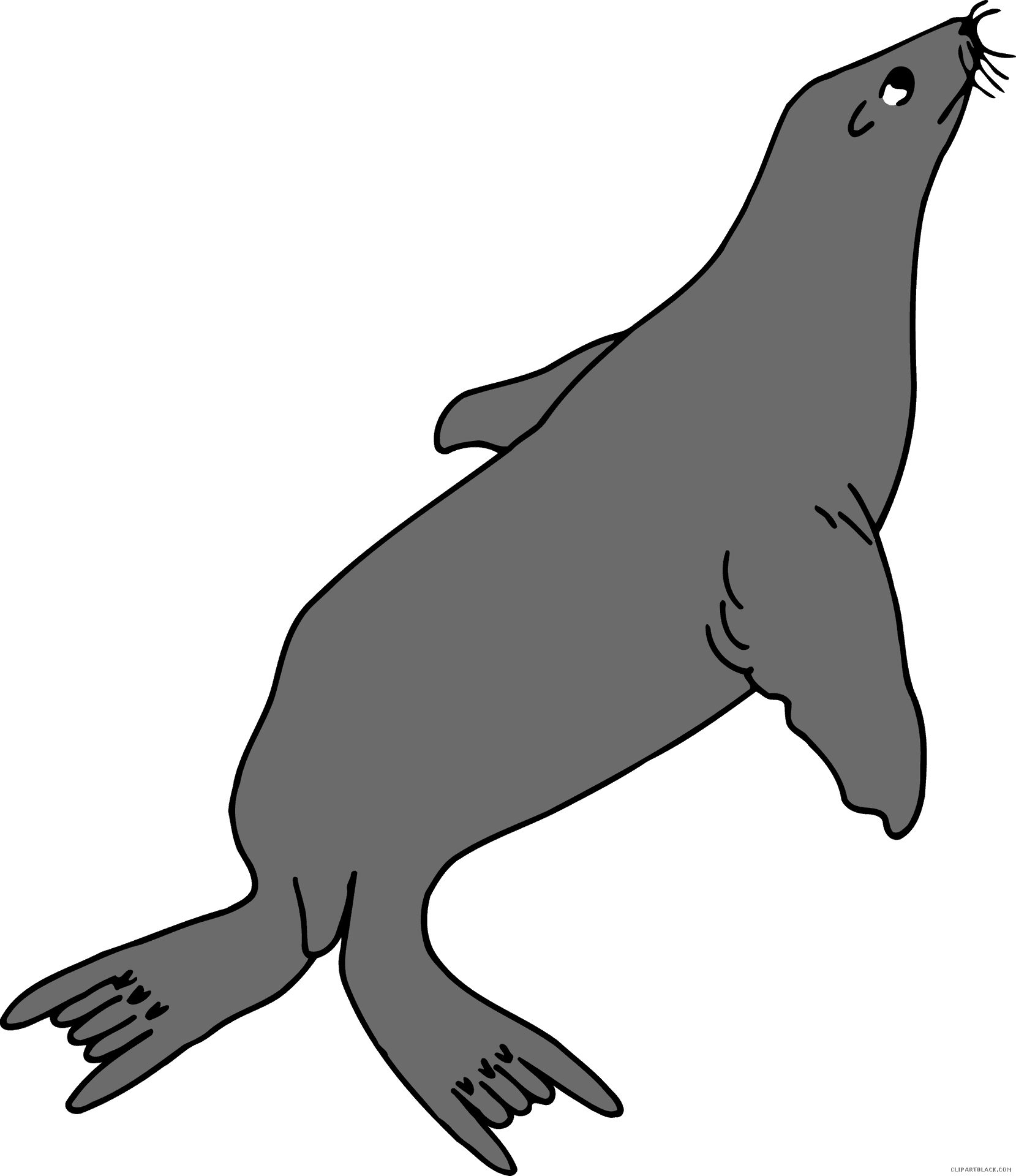 Cartoon Walrus Swimming PNG Image