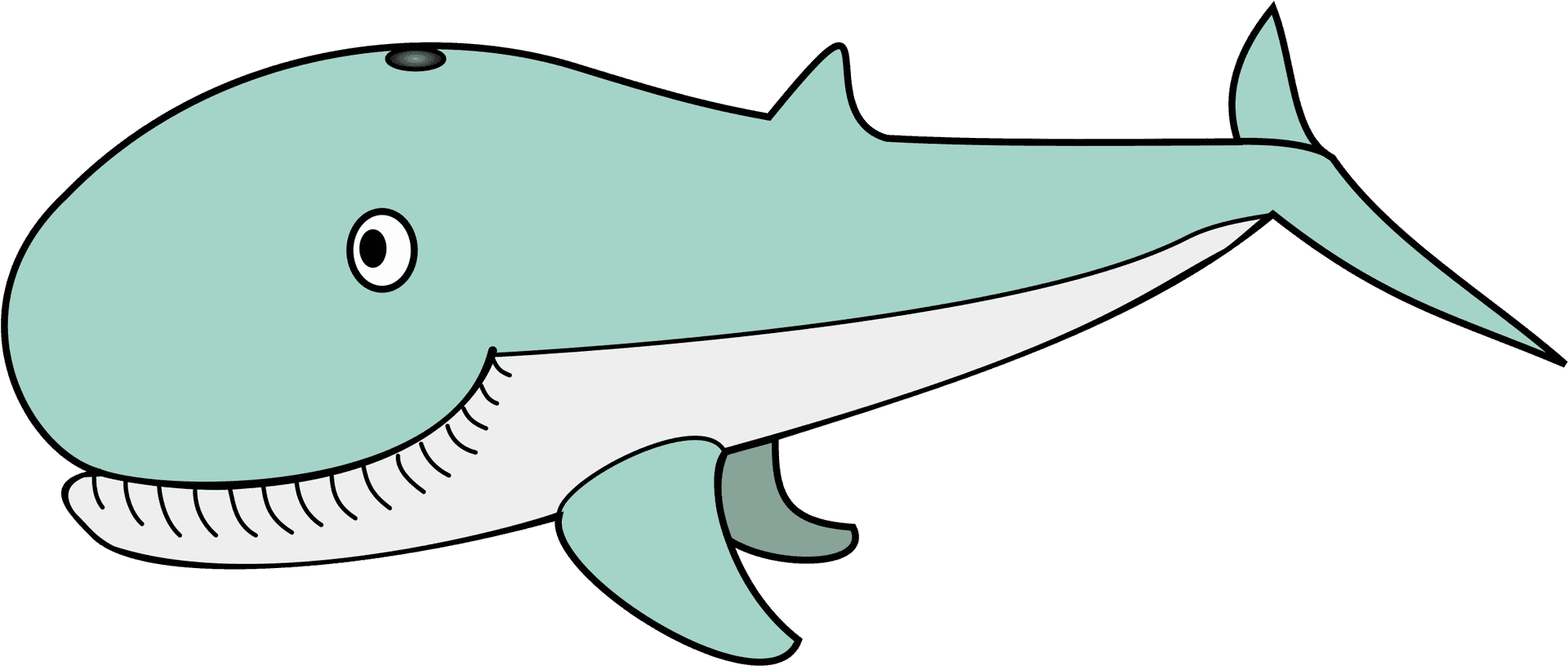 Cartoon Whale Illustration PNG Image