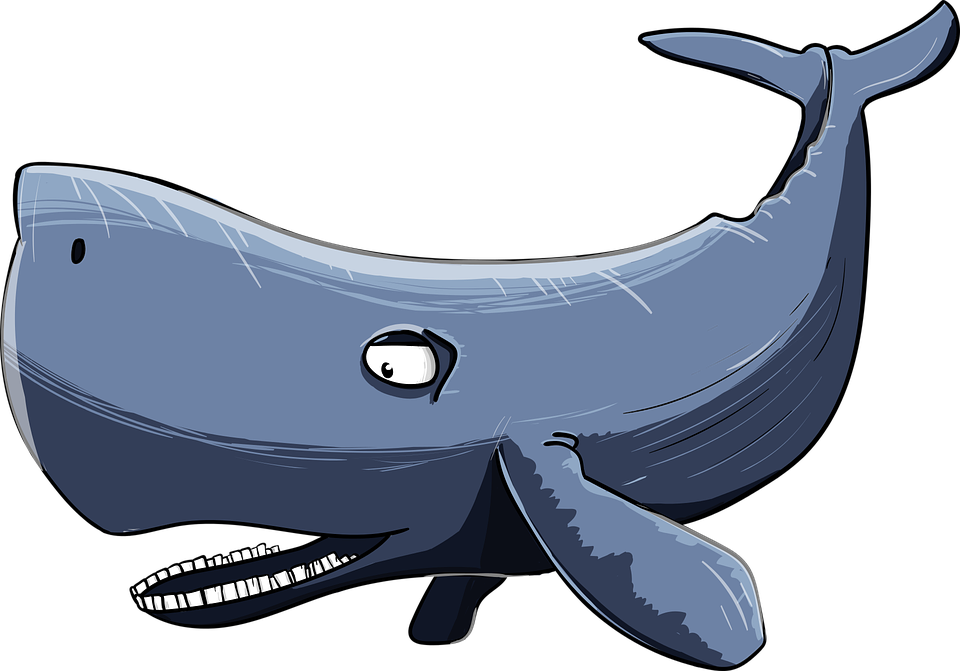 Cartoon Whale Illustration PNG Image