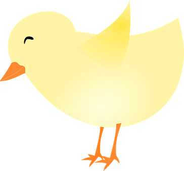 Cartoon Yellow Chick Illustration PNG Image