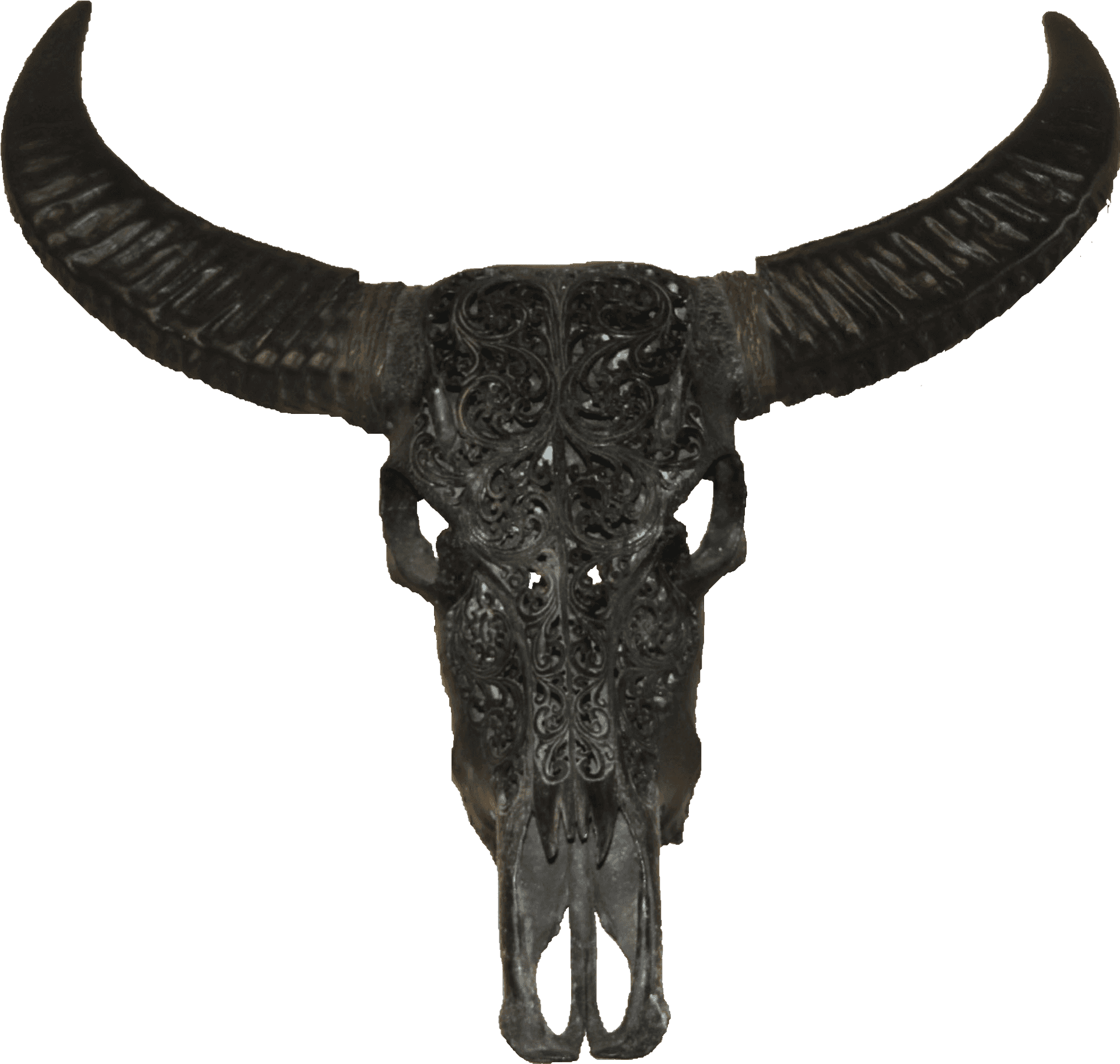 Carved Buffalo Skull Decor PNG Image