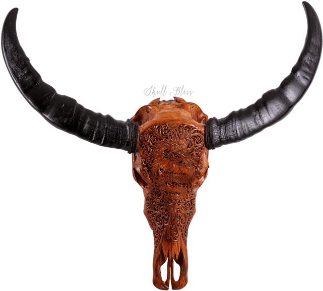 Carved Buffalo Skullwith Horns PNG Image