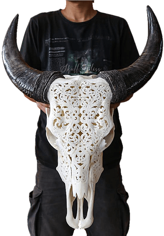 Carved Goat Skullwith Horns PNG Image