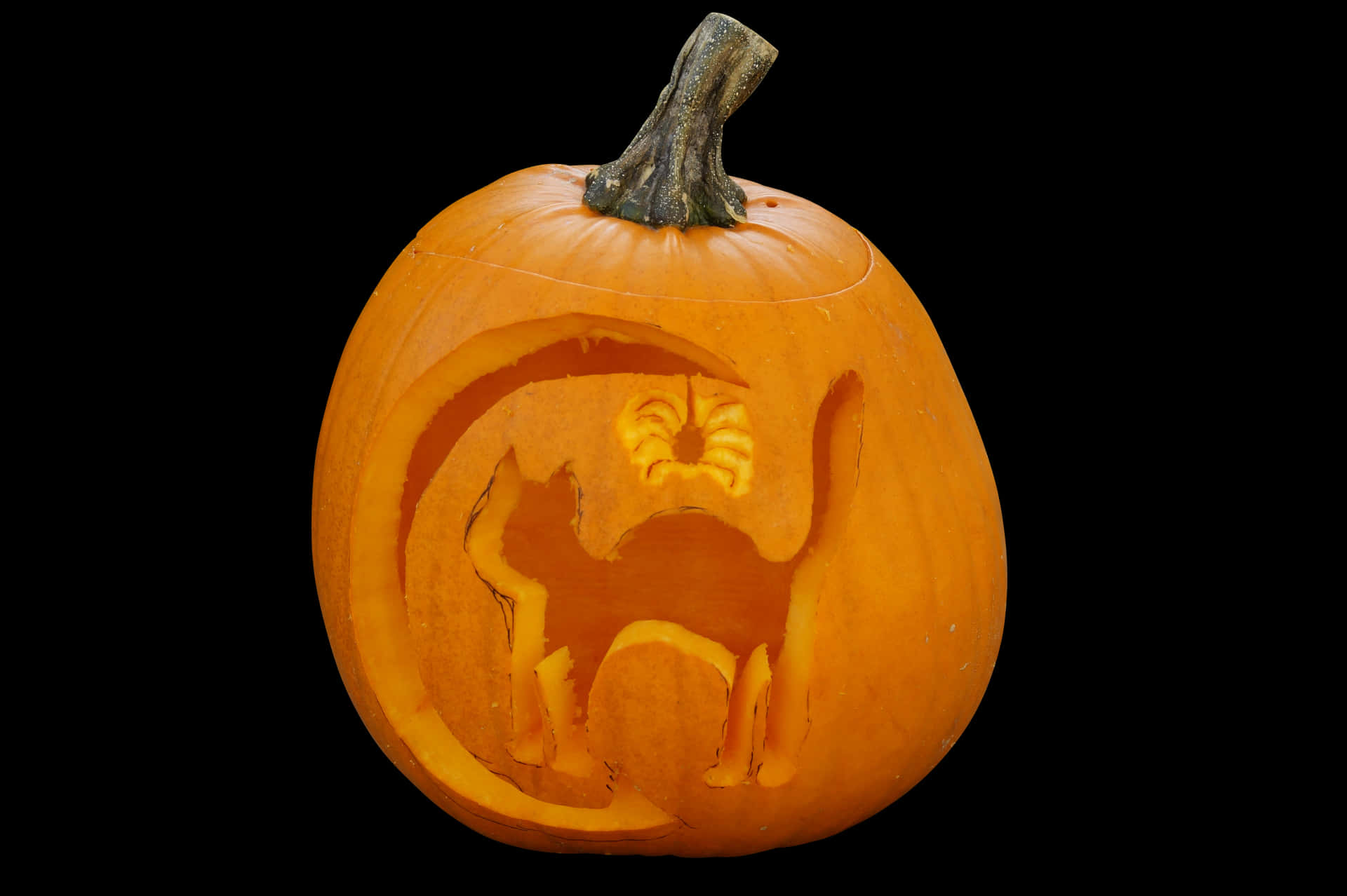 Carved Halloween Pumpkin Cat Design PNG Image