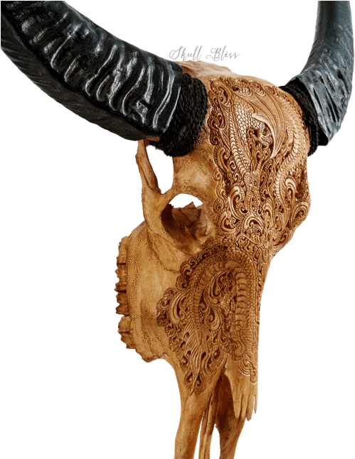 Carved Skullwith Horns Artwork PNG Image