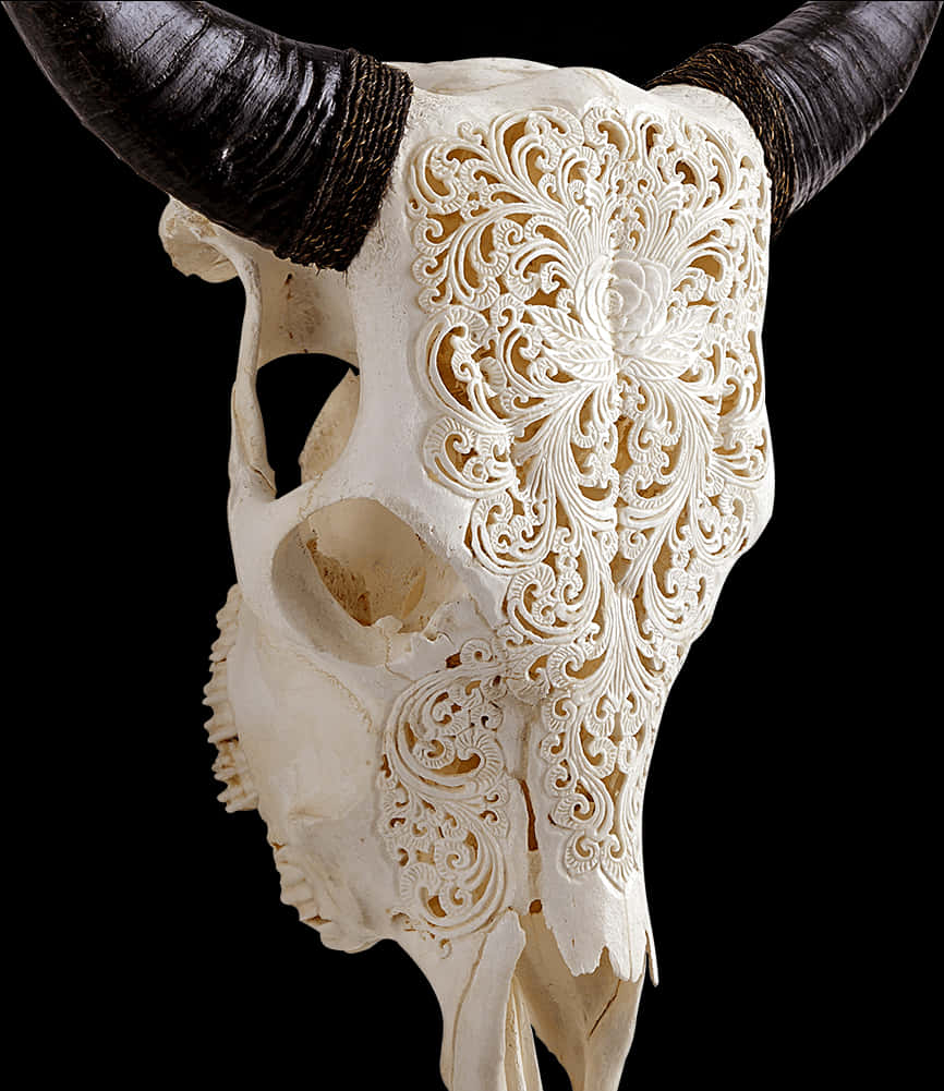 Carved Skullwith Horns PNG Image