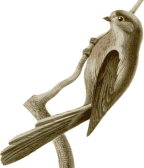 Carved Wooden Bird Perched PNG Image