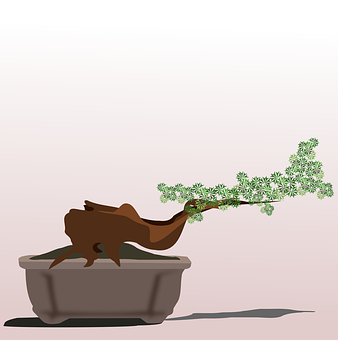 Cascading Bonsai Illustration PNG Image